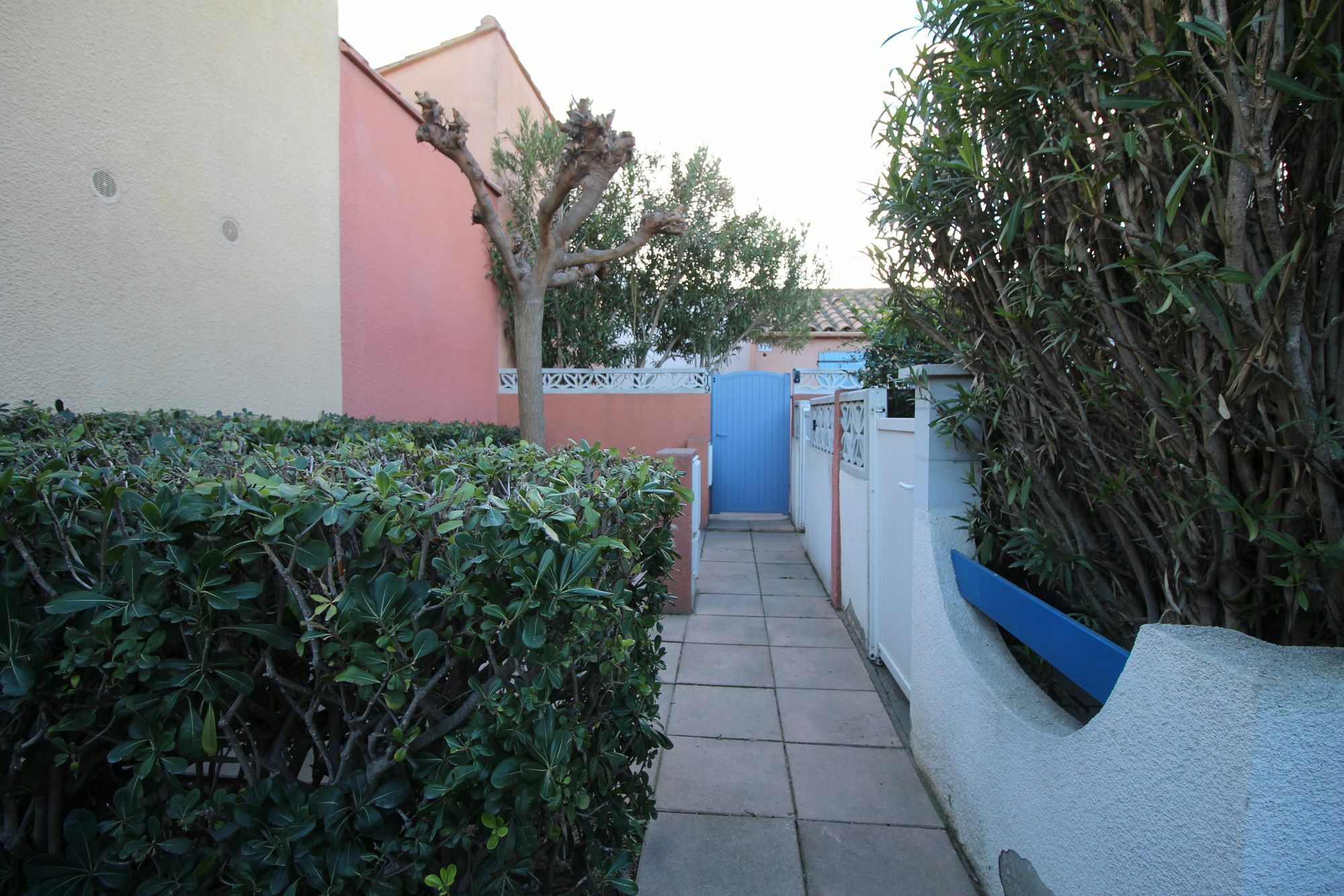 Appartement Charmant A Canet En Roussillon 36 M² Piscine Partagee Exterior foto